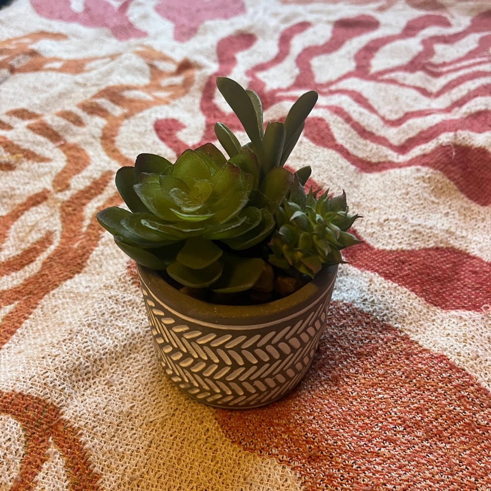 Fake Succulent